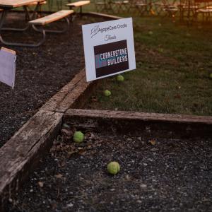 Signs_at_an_outdoor_event